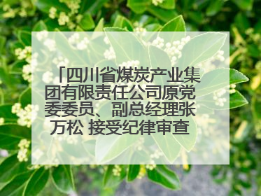 四川省煤炭产业集团有限责任公司原党委委员、副总经理张万松 接受纪律审查和监察调查